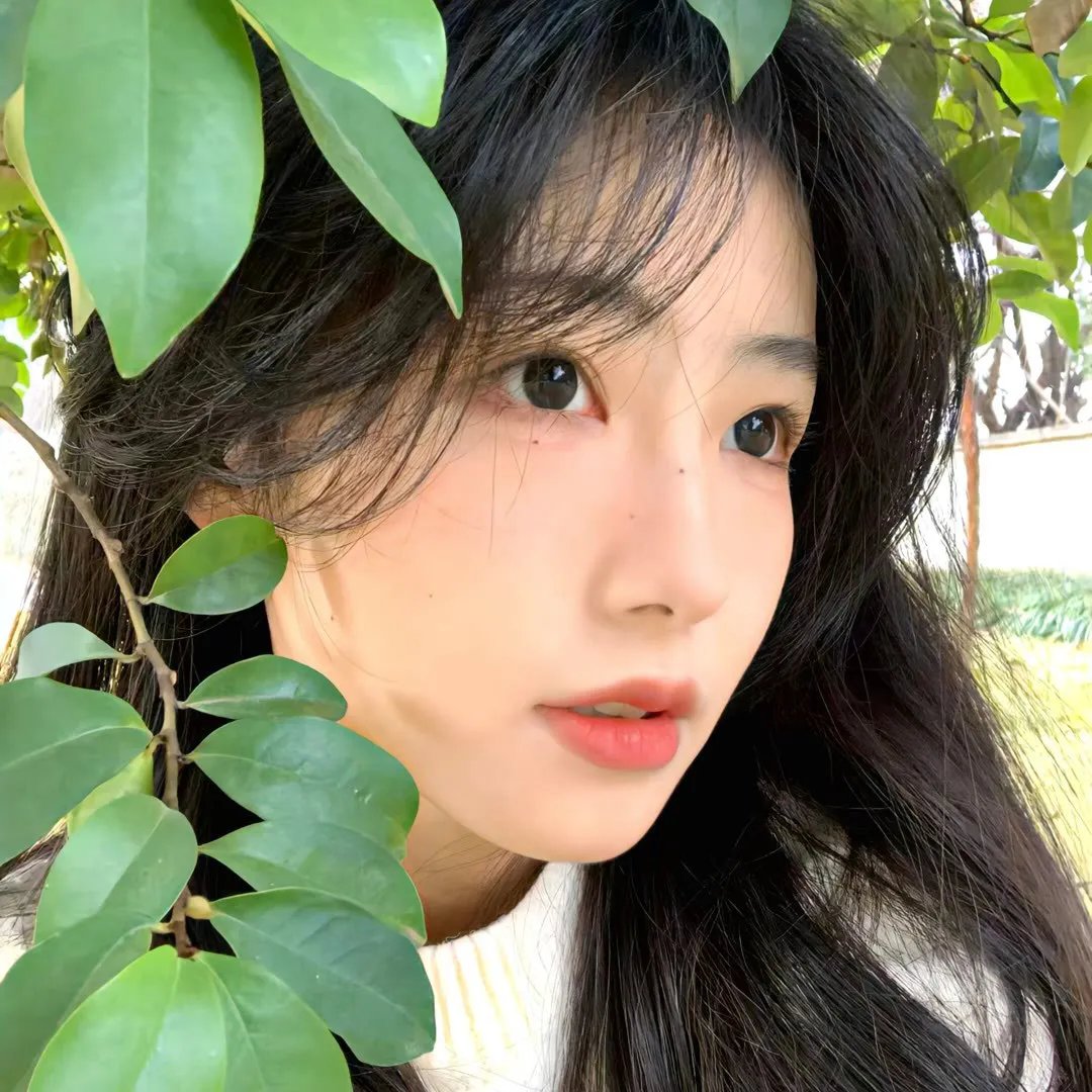 女人的日历
